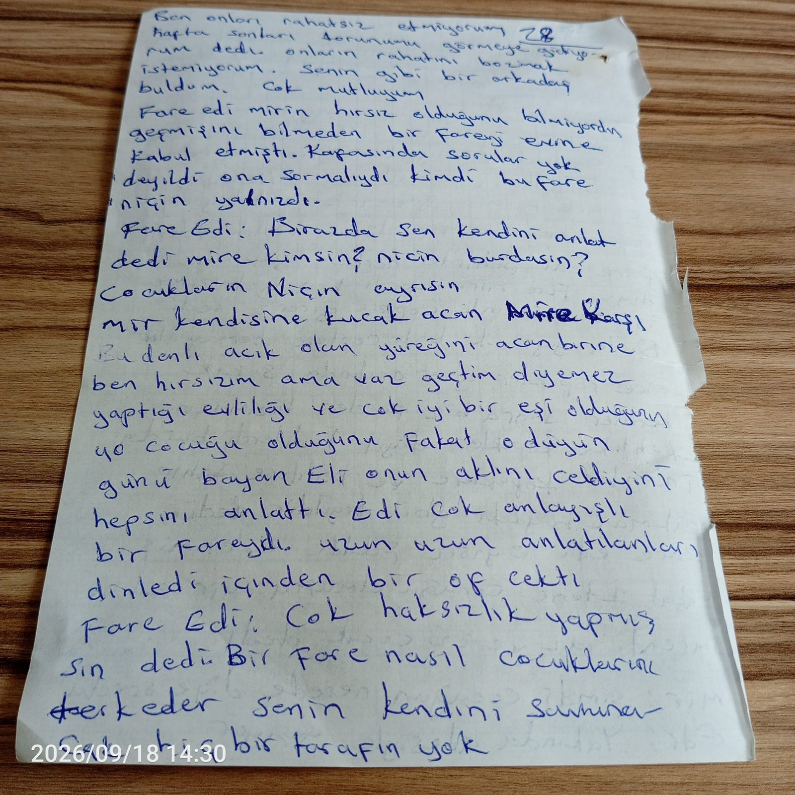 Deftere Yazılmış Bir Romanı Kitaplaştırmak: Çekmeceden Rafa Giden Yol